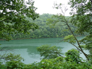 lake in the forest