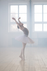 Cute little girl as ballet dancer