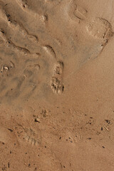 Footprint on the brown sand of a beach.