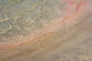Photo sur Plexiglas  Plage d'Elafonissi, Crète, Grèce Vagues claires sur la plage tropicale colorée d& 39 Elafonissi en Crète Grèce.