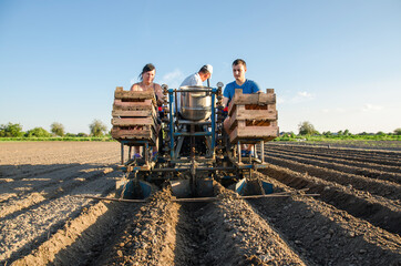 Workers on a tractor are planting potatoes. Automation of the process of planting potato seeds....