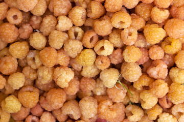 Ripe yellow raspberries, background. Many plucked yellow berries, Summer concept