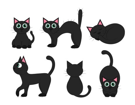 black cat in different positions: lies, sits, sleeps, hisses. View animal from front, side, back and sitting. Vector flat illustration. Set black cats for Halloween. 
