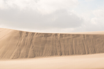 Obraz na płótnie Canvas Fine texture and lines of sandy dunes in a desert.