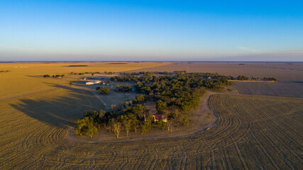 Sunset in the area of ​​estancia Argentina with a background of corn harvest.