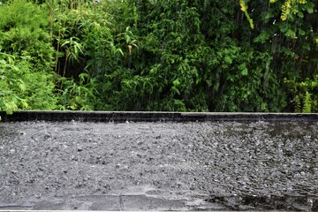 Heavy rain on a flat roof against bushes and trees