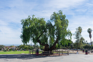 Santa Barbara Mission