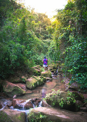 Man in the middle of the forest, Amazon rainforest, Hiking in the forest, tropical rainforest in Brazil