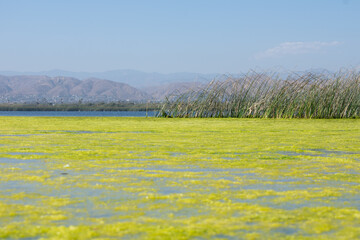 Fototapeta premium Ventura Beach Cove