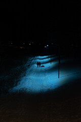 people walking in the city at night
