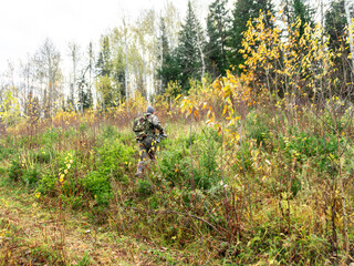 Autumn mixed forest, the opening of the season of hunting for animals and game, a man in camouflage with semi-automatic weapons and a backpack hunts and poaches