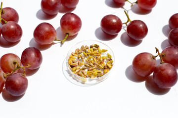 Grape seeds with fresh fruit on white background.