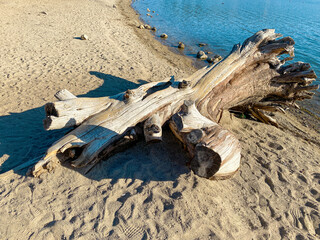 river or lake shore sand with beach driftwood log with shadows and water