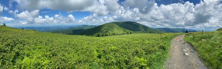 Fototapeta premium Hike - Roan Mountain, TN/NC