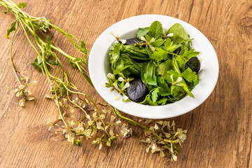 ハーブサラダ　Colorful and healthy green salad 