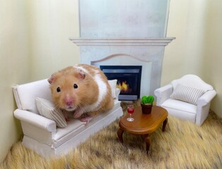 Cute Syrian Hamster in Front of a Cozy Fireplace 