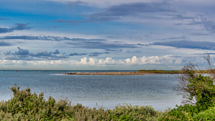 Pelicans at Safety Bay foreshore is an important ecosystem for waterbirds.