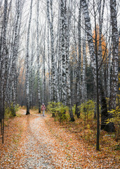 Autumn forest with a path covered by red leaves and walking girl