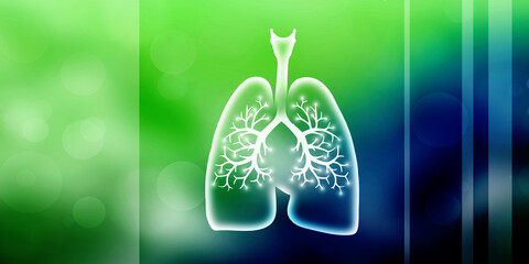Healthy Human Lungs 2d illustration

