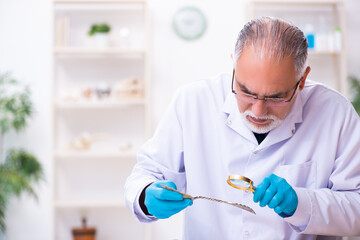 Old senior archaeologist working in the lab
