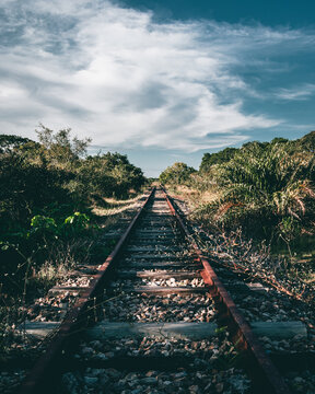 Train track on cloudy blue sky surrounded by green vegetation - Beautiful day