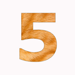 Number 5 (five) - Yellow cat fur background
