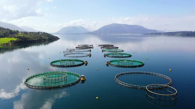 Aerial drone shot of fish cages, in reflecting water, sunny, summer day, in Norway