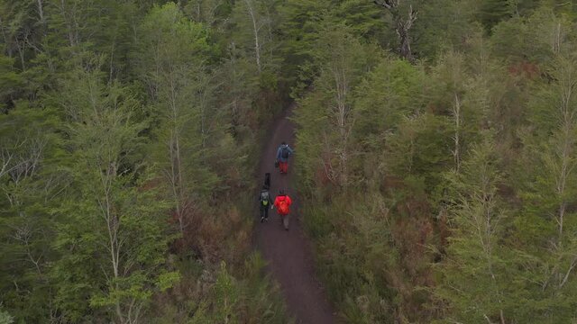 Following hikers inside the forest, is a trail call Cerro la Picada view point.