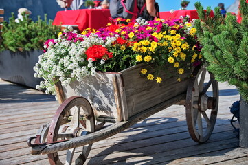 Fototapeta na wymiar Rustic wooden wheelbarrow filled with colorful flowers