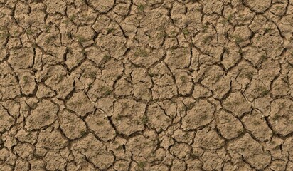 Soil Cracked texture background