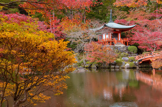 Beautiful japanese garden with colorful maple trees in Daigoji temple in autumn season, Kyoto, Japan