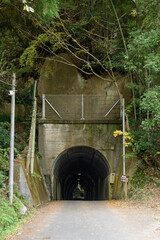 田舎の古いトンネル
