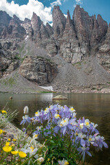 View of sky pond in Rocky Mountain National Park in Colorado. Sharp teeth-like peaks can be seen as well as blue colorado columbine wildflowers on the shore of the pond.