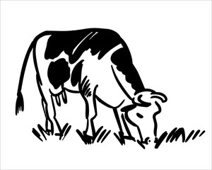 Hand drawing of cattle cow eating grass. Vector illustration. Simple modern design.