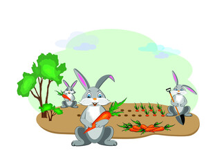 A cheerful rabbits collect harvest of carrots in the garden and holding in its paws carrot and shovel. Vector illustration for design. 