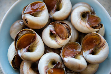 Fresh cooked conch is served on plates for lunch