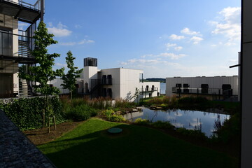 modern house in the park