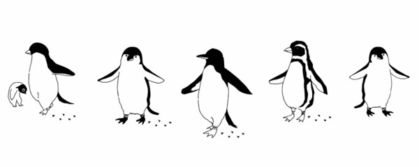 ペンギンのシンプルなアイコンイラスト