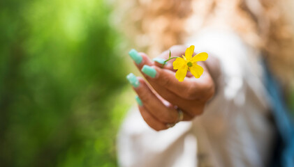Close up of yellow spring flower and woman caucasian hand holding it - nature and safe the earth planet concept lifestyle people - green natural background