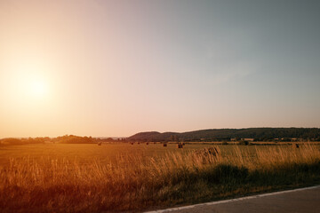 Straw bales on the field against distant woods on the horizon. Rural natural fields with mixed grasses and farmer cultures shining on the evening summer sun.