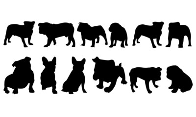 bulldog silhouette collection, bulldog, dog 