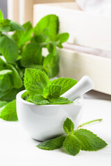Fresh spearmint leaves and white ceramic mortar.
