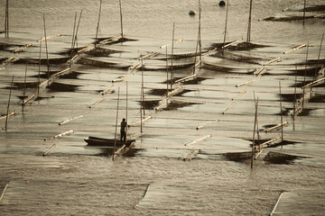 Farmers work at a seaweed farm in Xiapu county, China's Fujian province  © gnomeandi