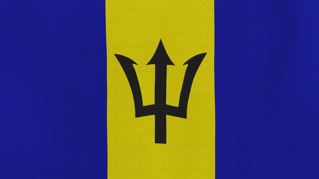 Loopable: Flag of Barbados...Barbadian official flag gently waving in the wind. Highly detailed fabric texture for 4K resolution. 15 seconds loop.
