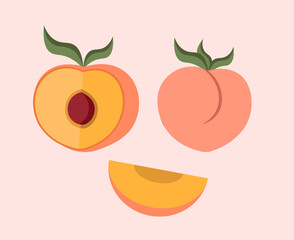 illustration set of peach vectors