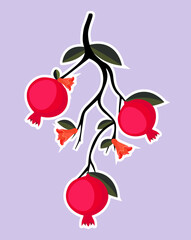 illustration of an pomegranate with blossoms background
