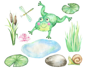 Watercolor illustration frog pond