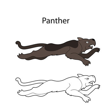 Funny cute animal running panther isolated on white background. Linear, contour, black and white and colored version. Illustration can be used for coloring book and pictures for children