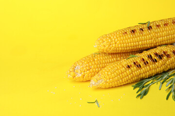Concept of tasty food with grilled corn