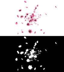 3D illustration of a pink cherry sakura flower petals flow with alpha layer